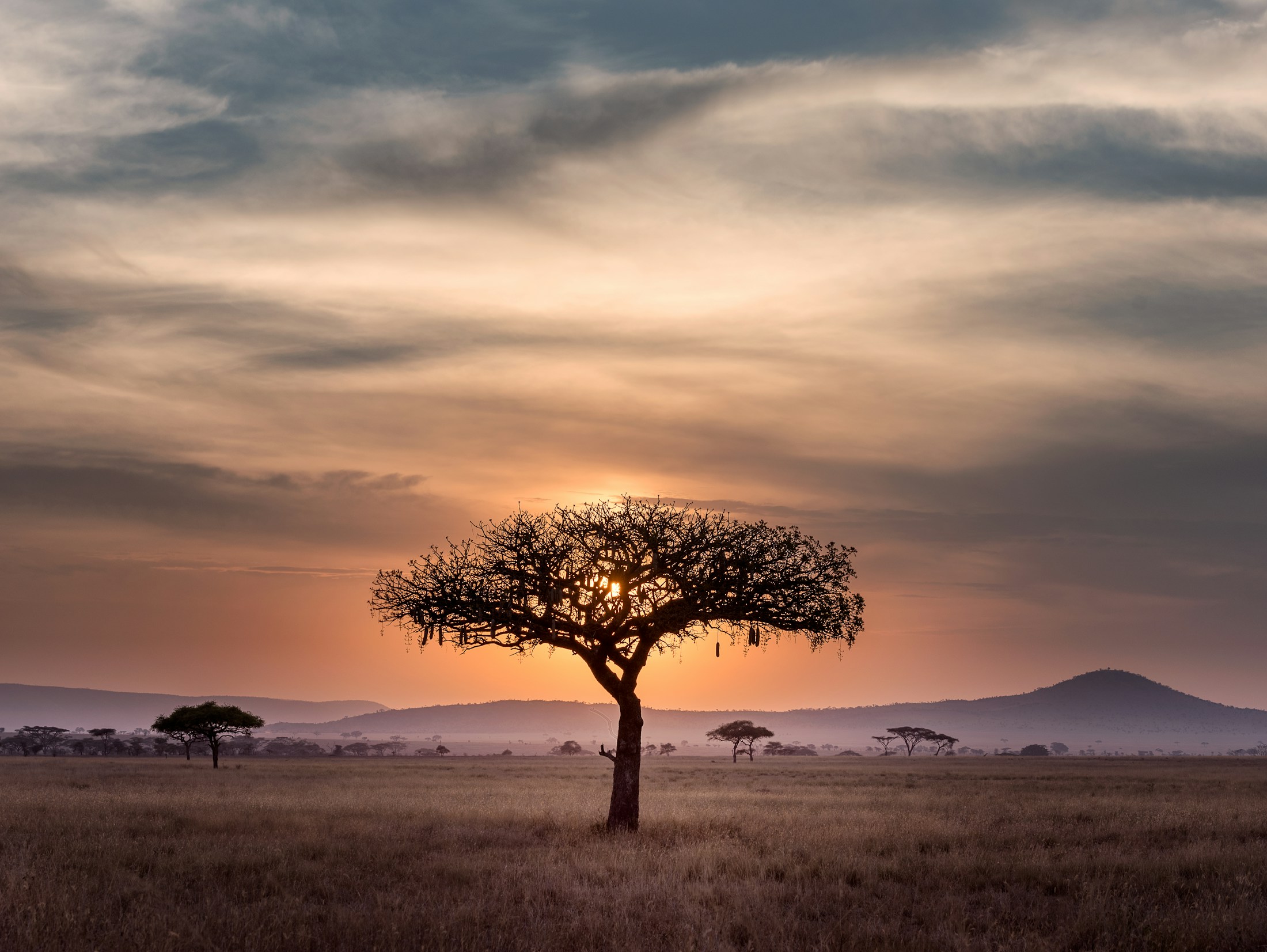 Open South African landscape with mountains and warm earth